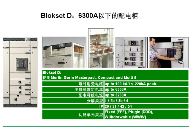 得潤電氣blokset低壓開關(guān)柜 咨詢熱線:400-128-7988 得潤電氣blokset低壓開關(guān)柜 咨詢熱線:400-128-7988